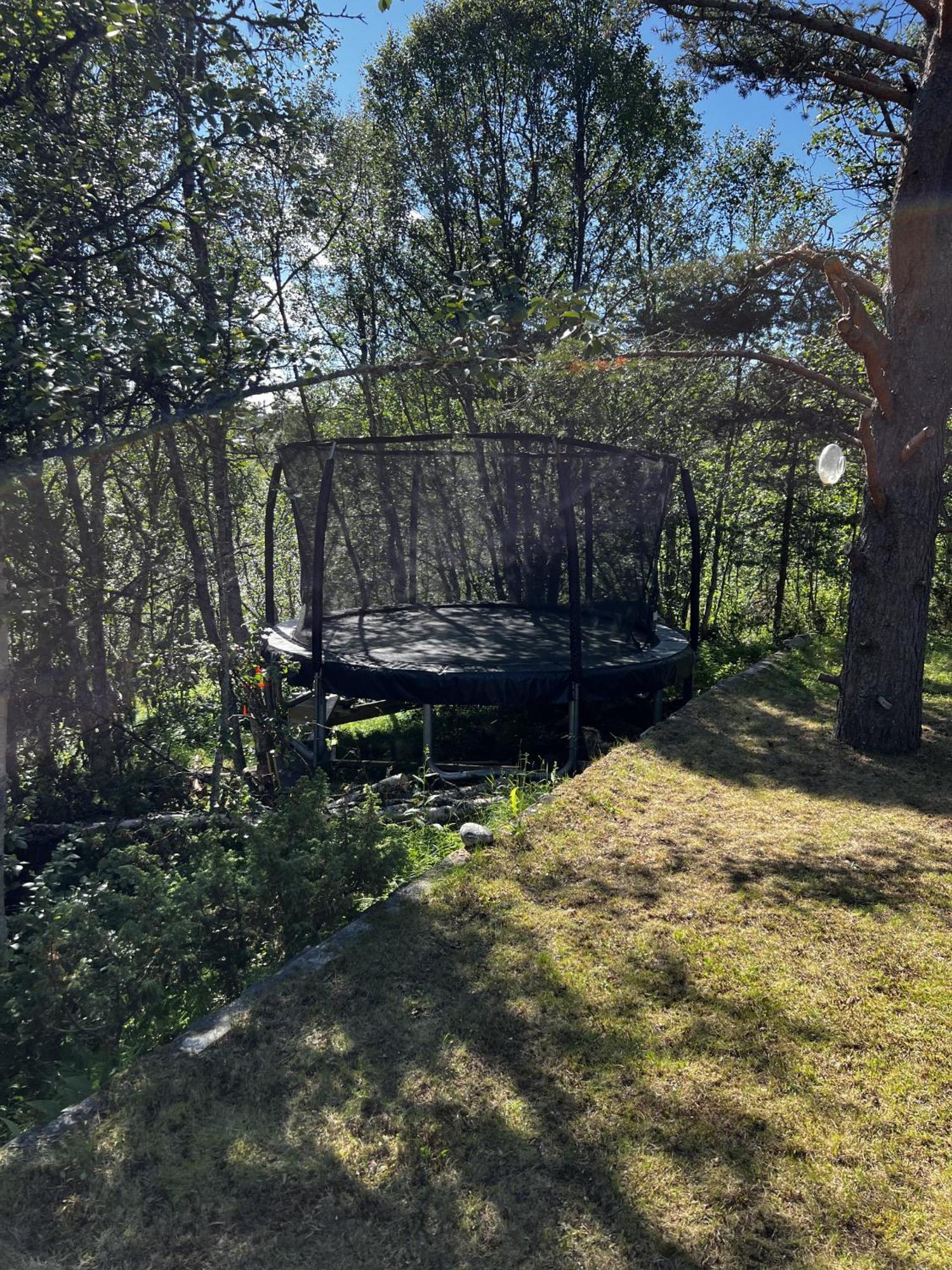 Koselig Hytte Med Usjenert Og Solrik Beliggenhet 耶卢 外观 照片